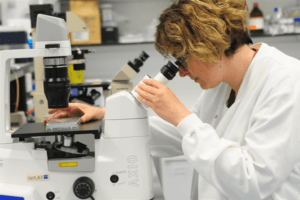 Professor Silvia Marino looking down a microscope